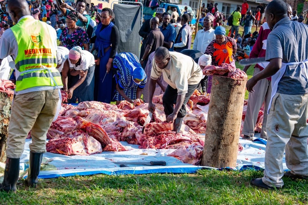 Qurban appeal prices